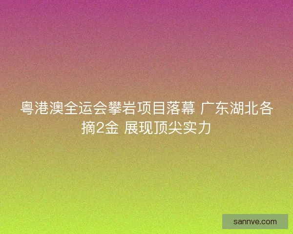 粤港澳全运会攀岩项目落幕 广东湖北各摘2金 展现顶尖实力