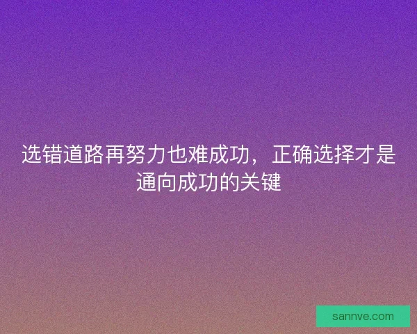 选错道路再努力也难成功,正确选择才是通向成功的关键 选错道路再努力也难成功,正确选择才是通向成功的关键
