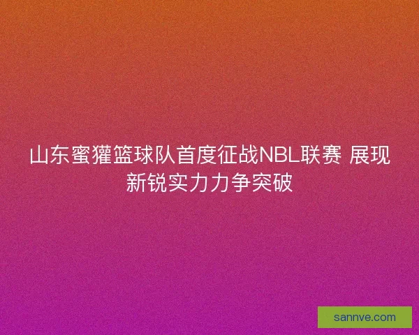 山东蜜獾篮球队首度征战NBL联赛 展现新锐实力力争突破
